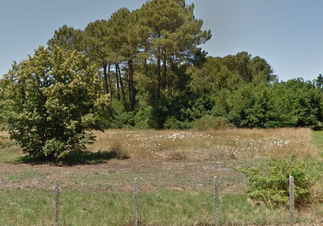 Très beau terrain de 459m2 disponible à PARENTIS-EN-BORN