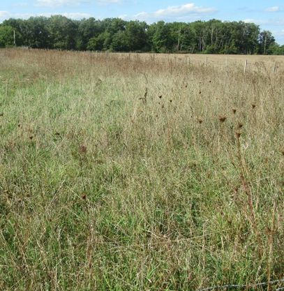 Acheter un terrain constructible viabilisé à CHAUMONT-SUR-THARONNE