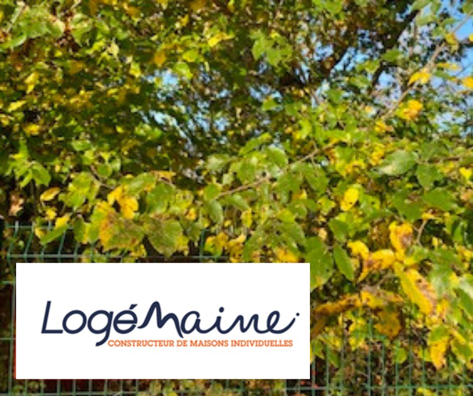 Ravissant terrain viabilisé de 515m2 à CHEMILLE (49120)