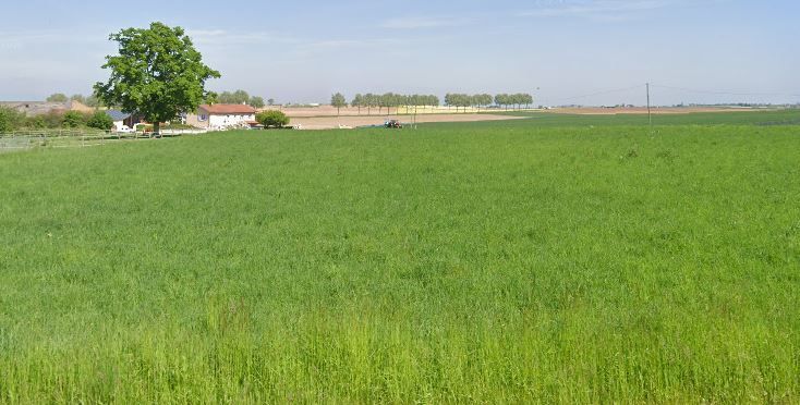 terrain à construire viabilisé de 400m2 disponible à ARS-SUR-FORMANS (01480)