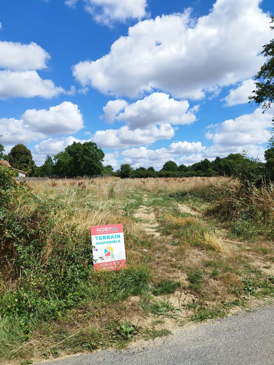 Très beau terrain en vente à CHALONNES-SUR-LOIRE