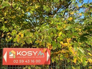 terrain de 495m2 disponible à CHAMPTOCE-SUR-LOIRE