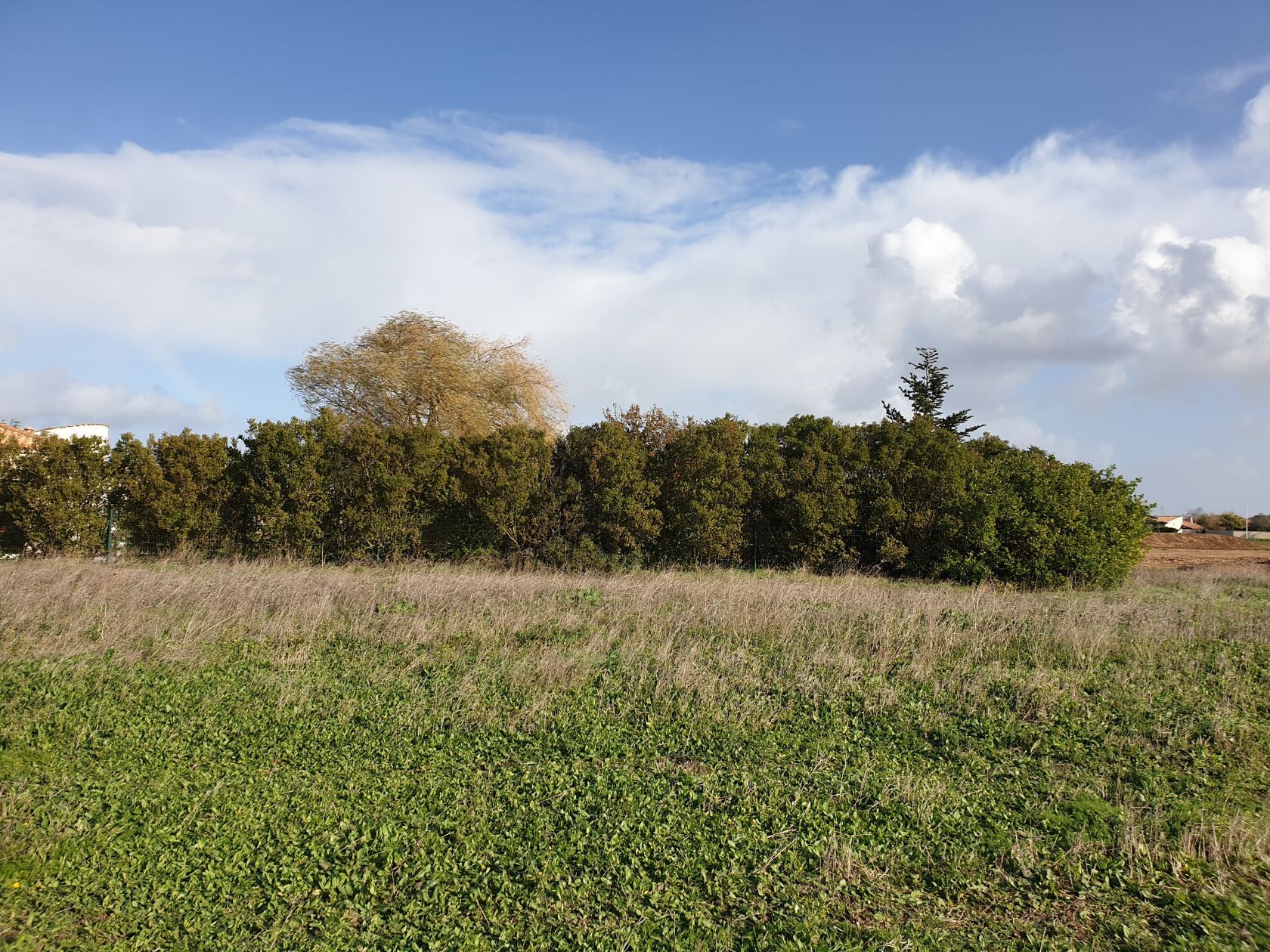 Acheter un terrain disponible à DOMPIERRE-SUR-MER (17139)