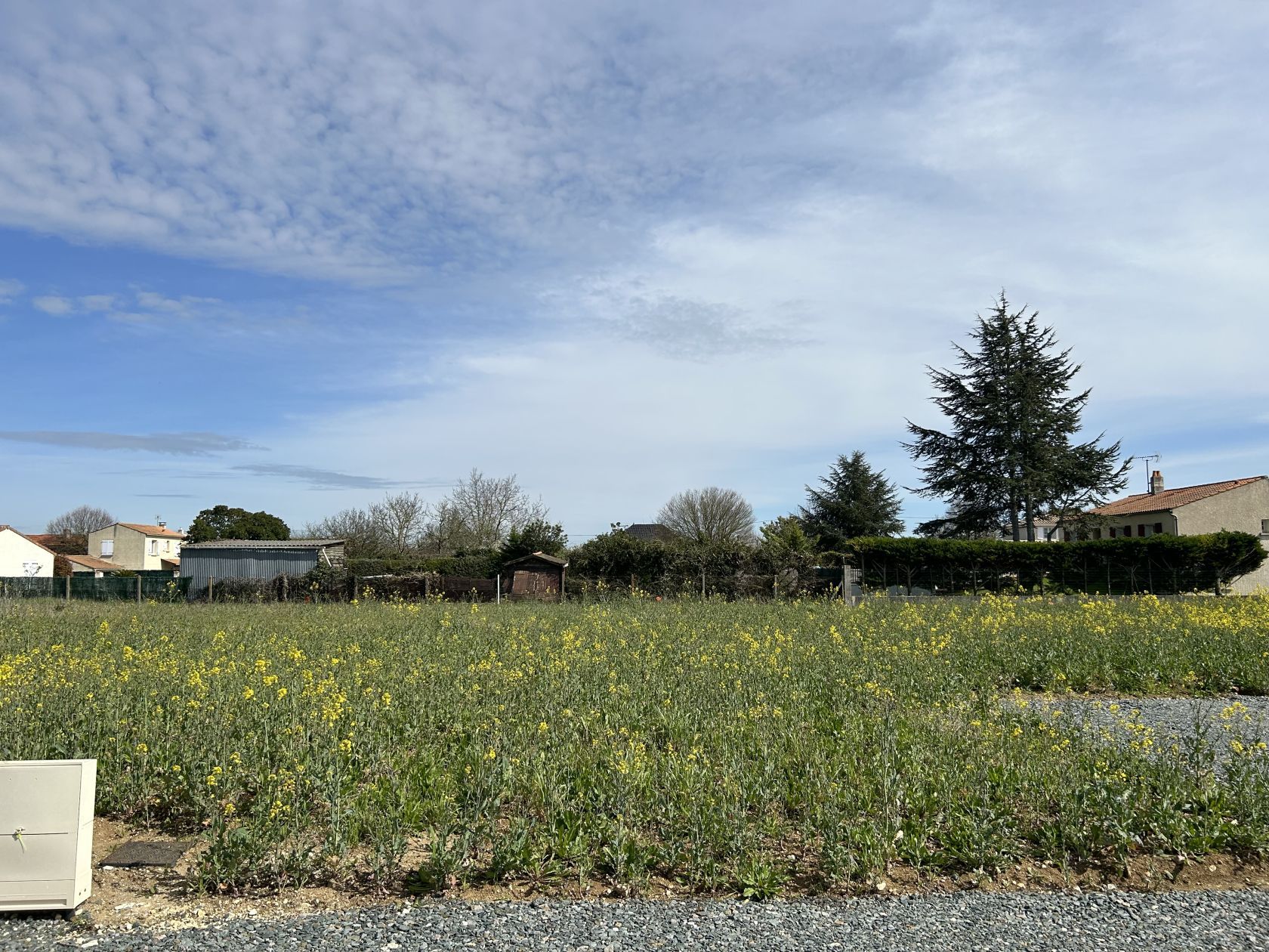 Joli terrain viabilisé de 442m2 en vente à FERRIERES (17170)