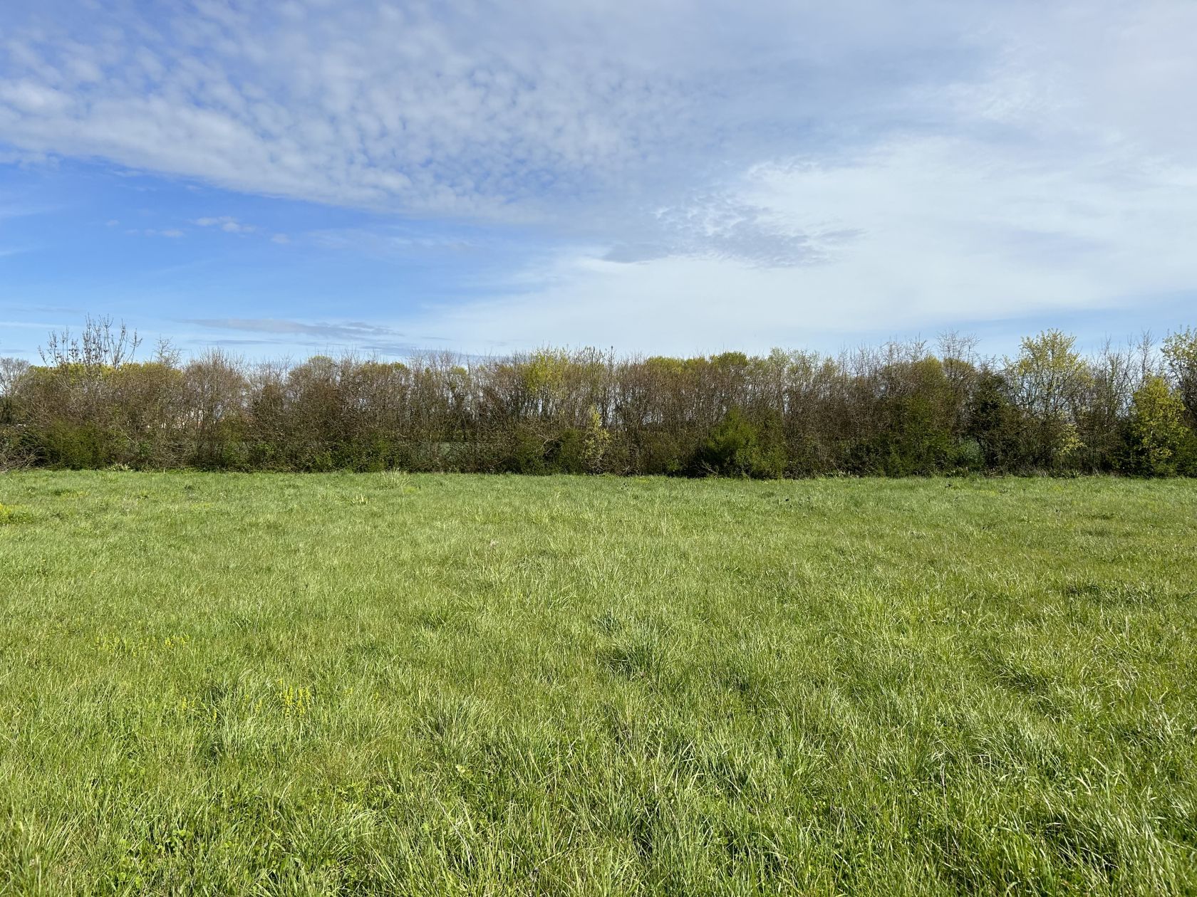 Agréable terrain à vendre viabilisé en vente à SAINT-LAURENT-DE-LA-PREE (17450)