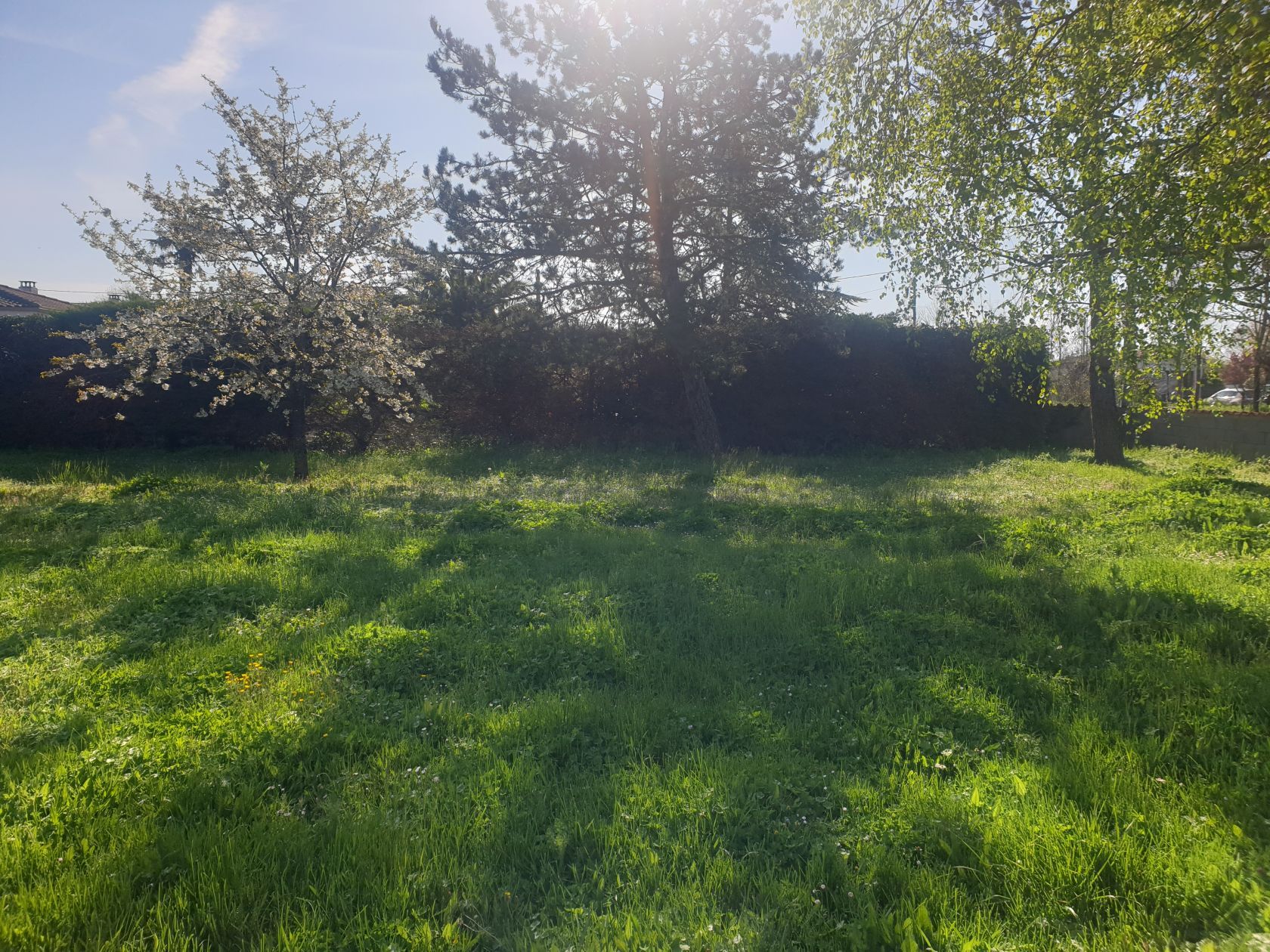 Acheter un terrain viabilisé à FORGES (17290)