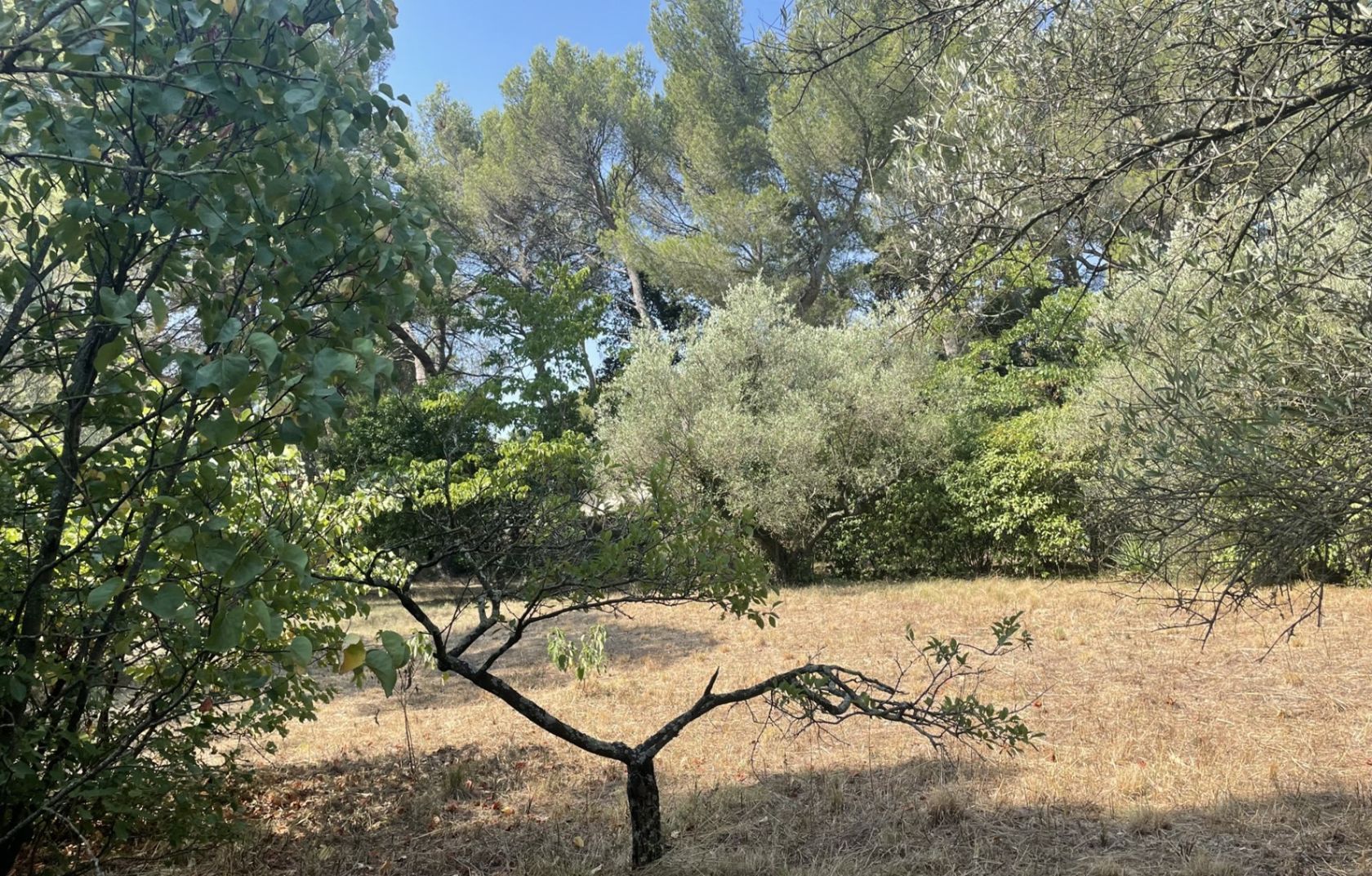 Acheter un terrain constructible de 304m2 à NIMES