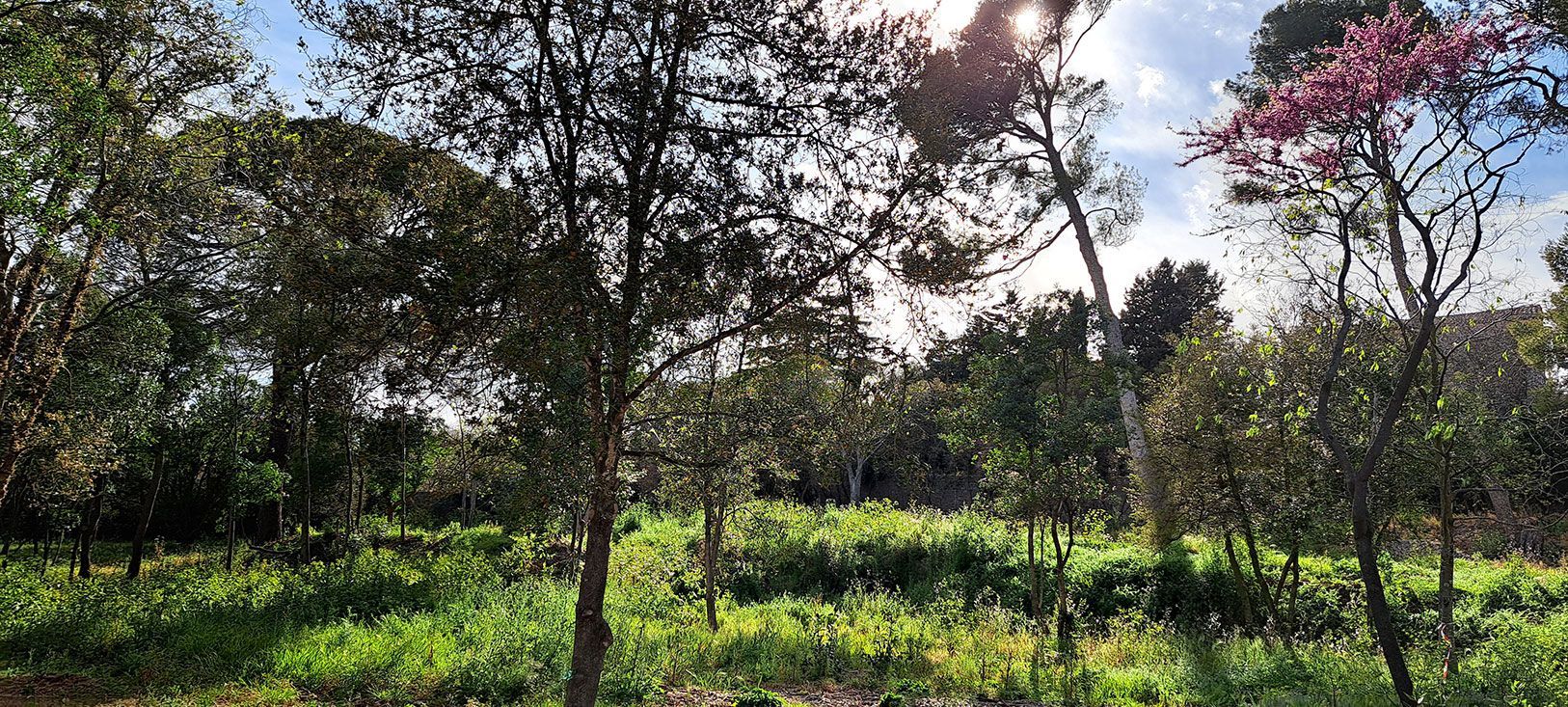 Joli terrain à construire viabilisé de 900m2 en vente à COURNONSEC