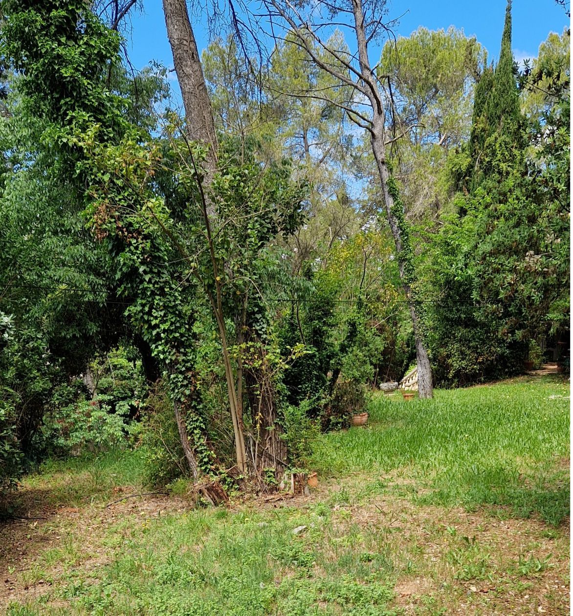 terrain à construire viabilisé de 960m2 à MONTFERRIER-SUR-LEZ