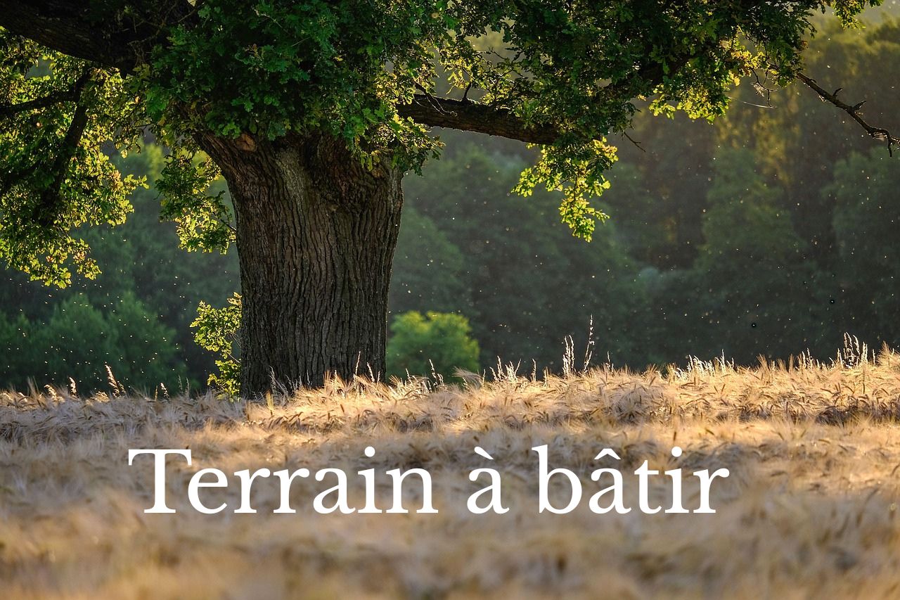 Acheter un terrain en vente à PRADES-LE-LEZ