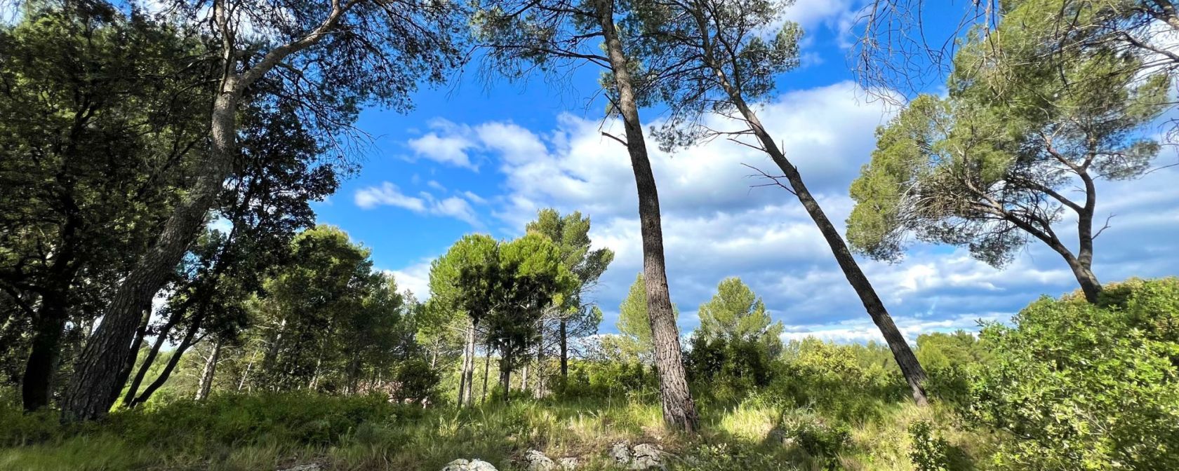 Très beau terrain à batir en vente à GUZARGUES (34820)