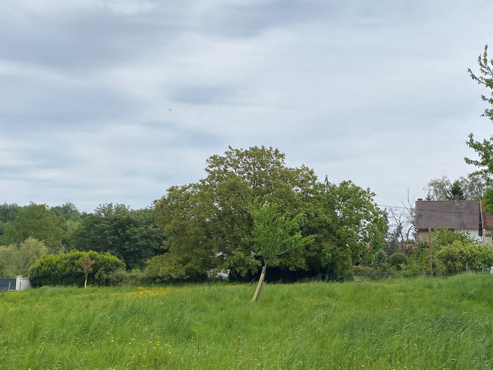 Superbe terrain en vente à MAISONCELLES-EN-BRIE (77580)