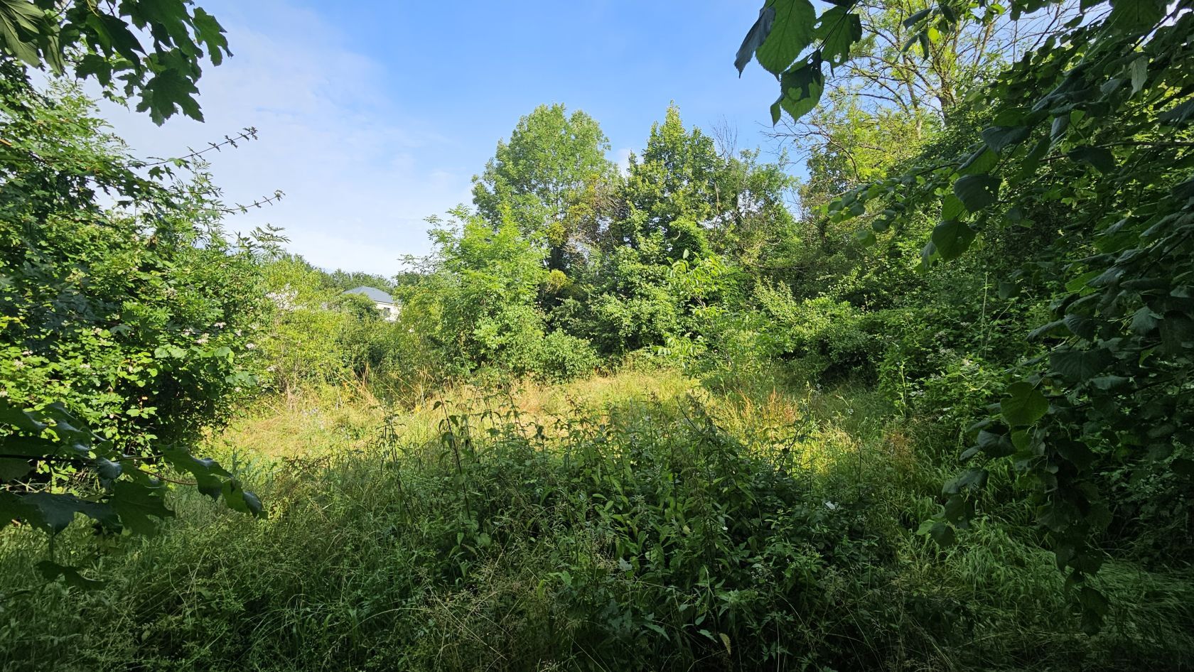 terrain à vendre viabilisé de 1700m2 à COULOMMIERS (77120)