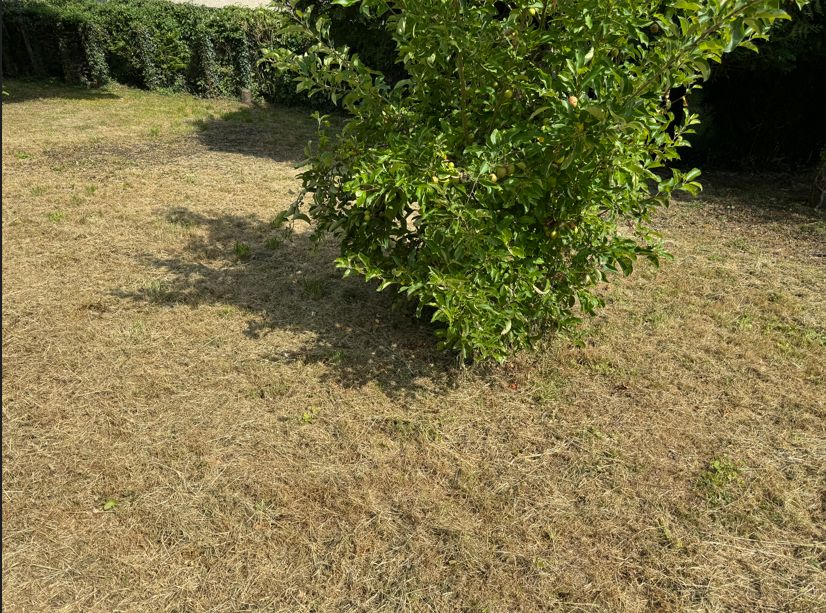 terrain à vendre viabilisé de 850m2 disponible à VINNEUF (89140)