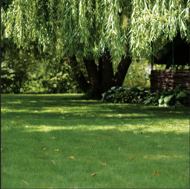 terrain à vendre de 890m2 à VOULX (77940)