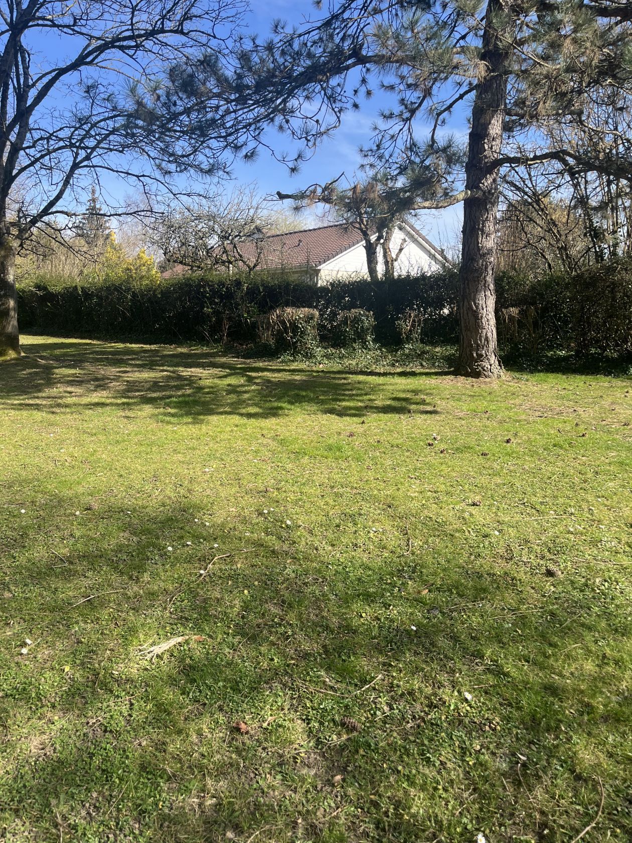 Superbe terrain à vendre viabilisé de 333m2 en vente à CROSNE