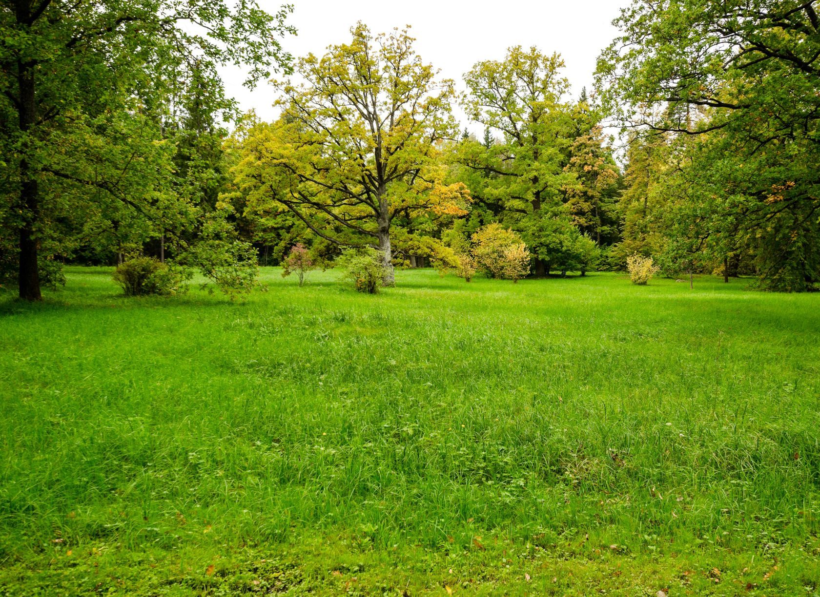 Beau terrain constructible à COMBS-LA-VILLE (77380)
