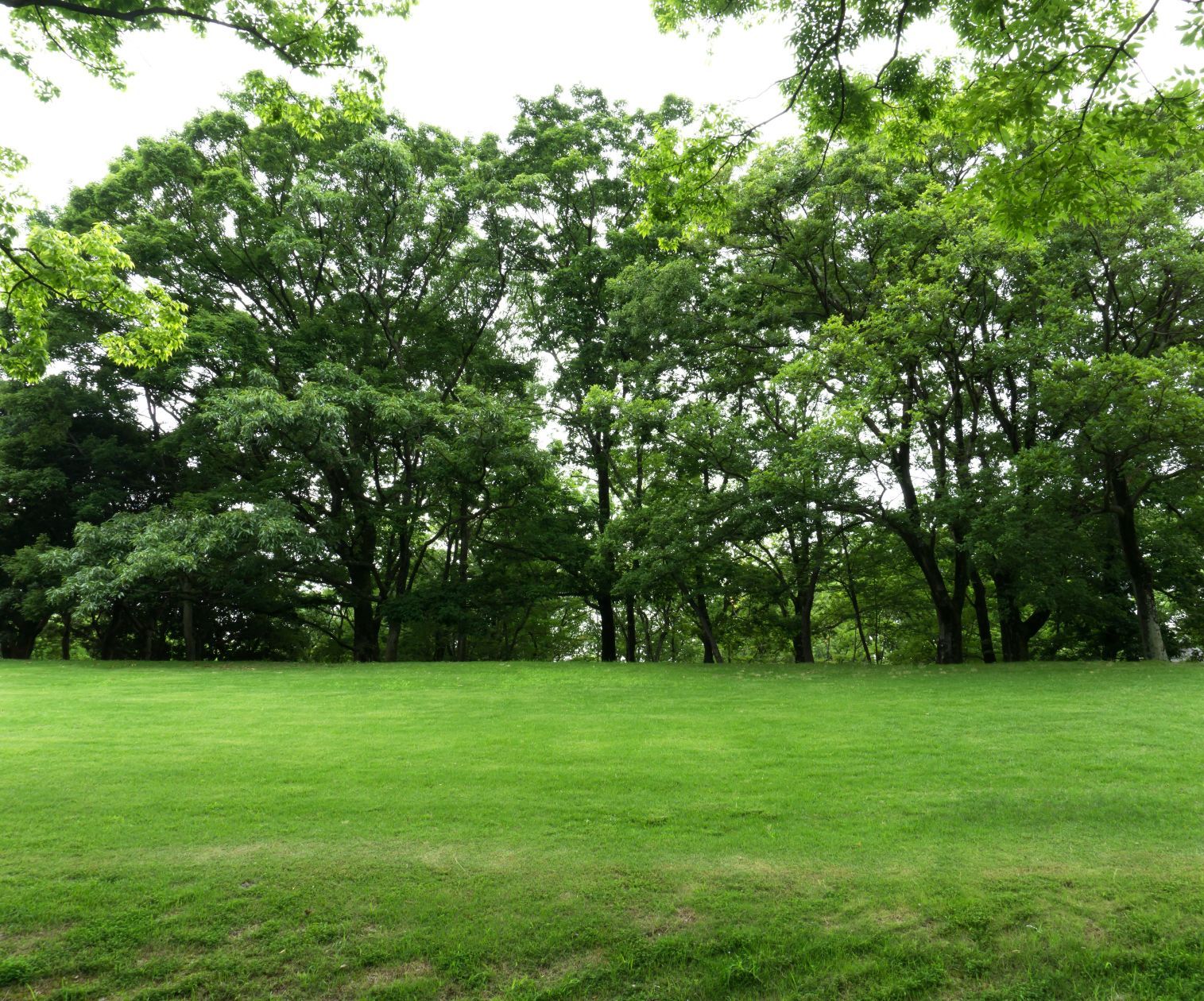 terrain à batir disponible à LIMEIL-BREVANNES