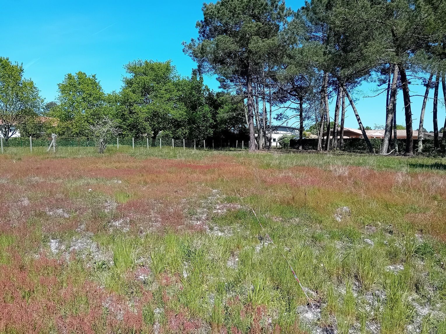 terrain viabilisé de 413m2 à SAINT-AUBIN-DE-MEDOC