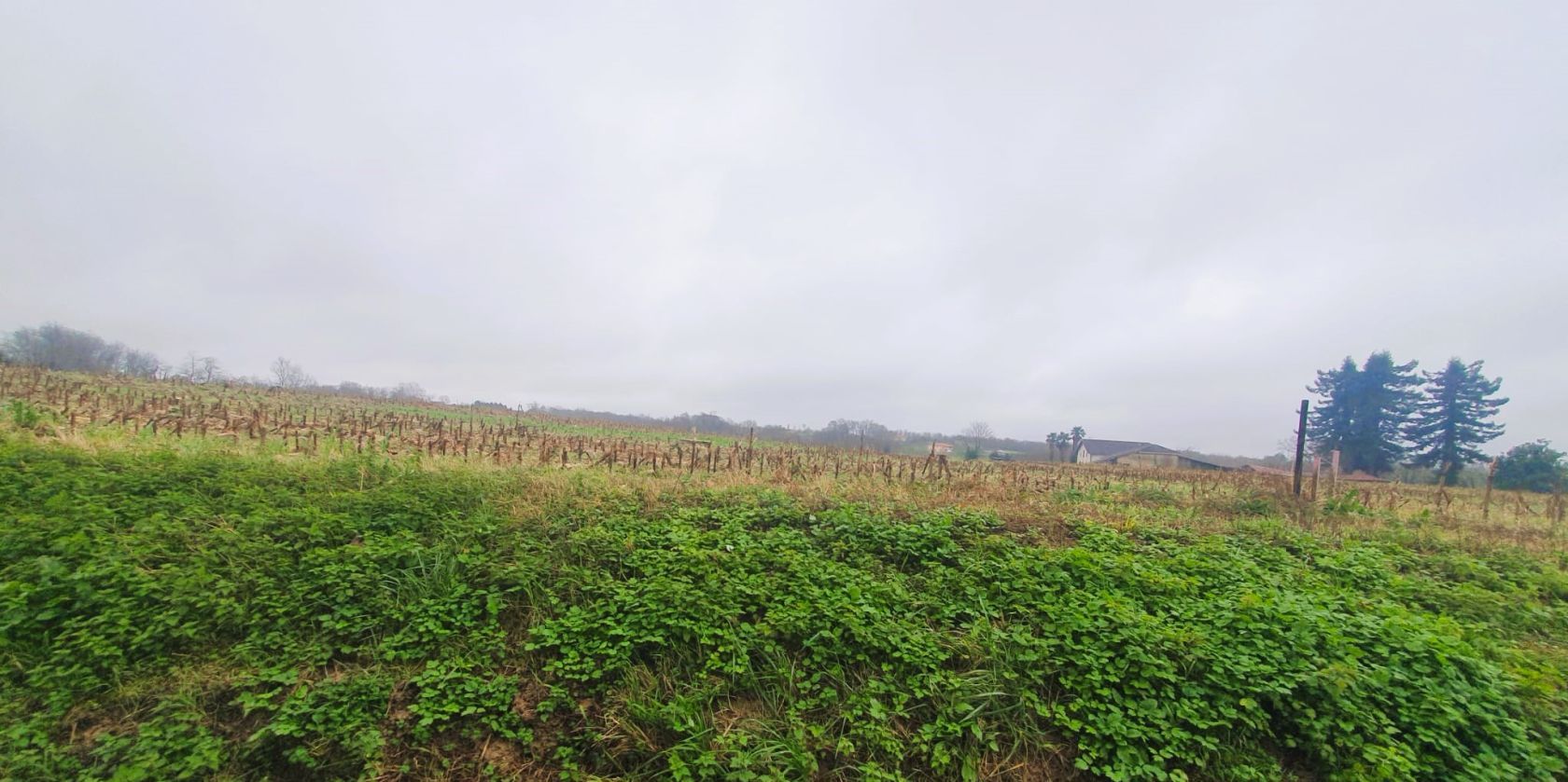 Agréable terrain de 958m2 en vente à MUGRON