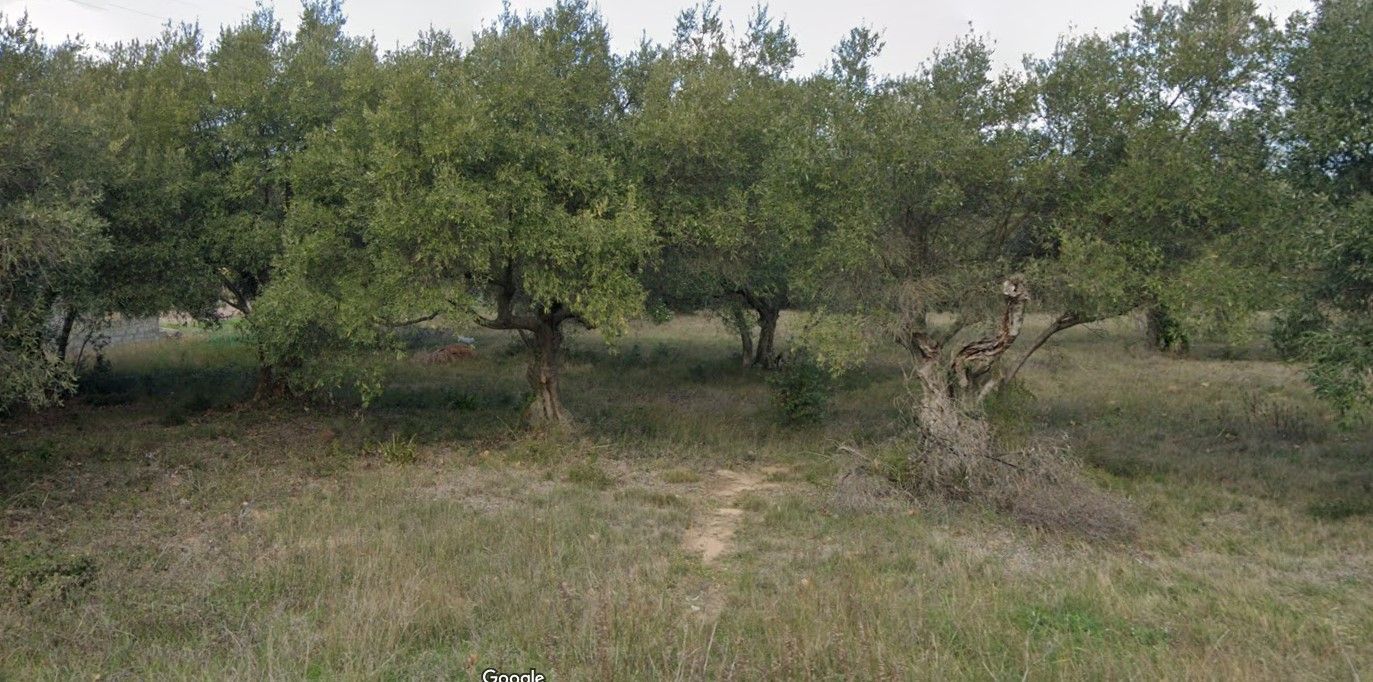 terrain à construire de 2200m2 disponible à MOUX
