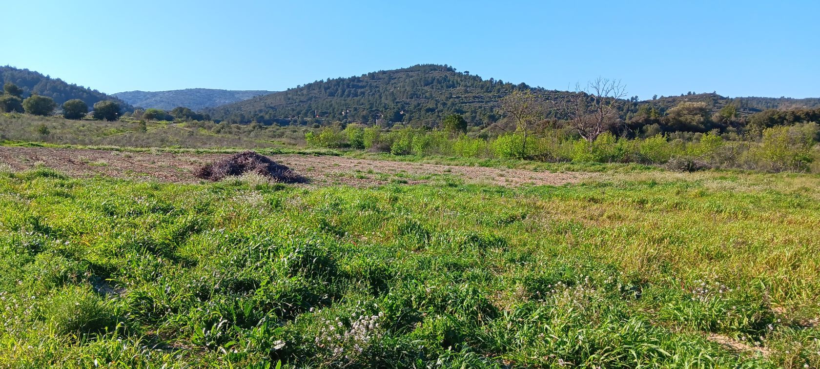terrain à vendre de 717m2 en vente à PORTEL-DES-CORBIERES (11490)