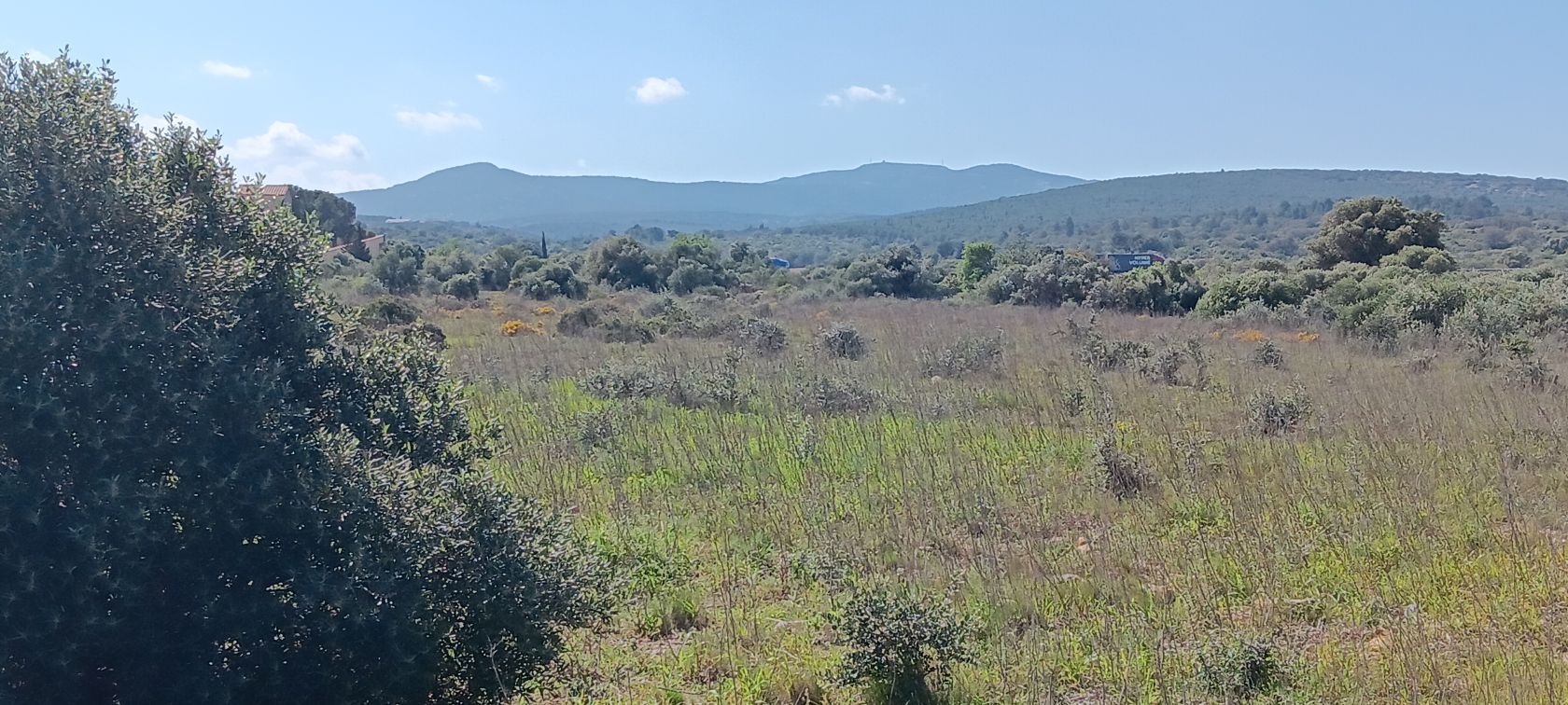 terrain constructible viabilisé de 1150m2 à LA PALME
