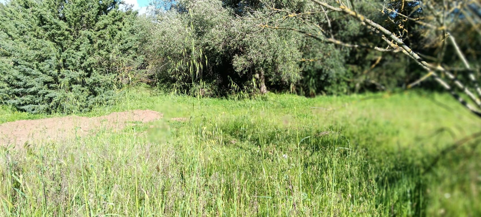 terrain à construire viabilisé de 740m2 disponible à BIZANET