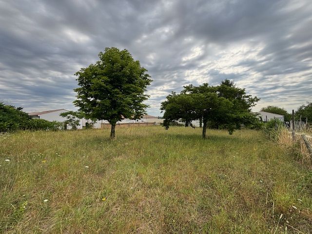 Acheter un terrain constructible viabilisé de 1040m2 à MESCHERS-SUR-GIRONDE
