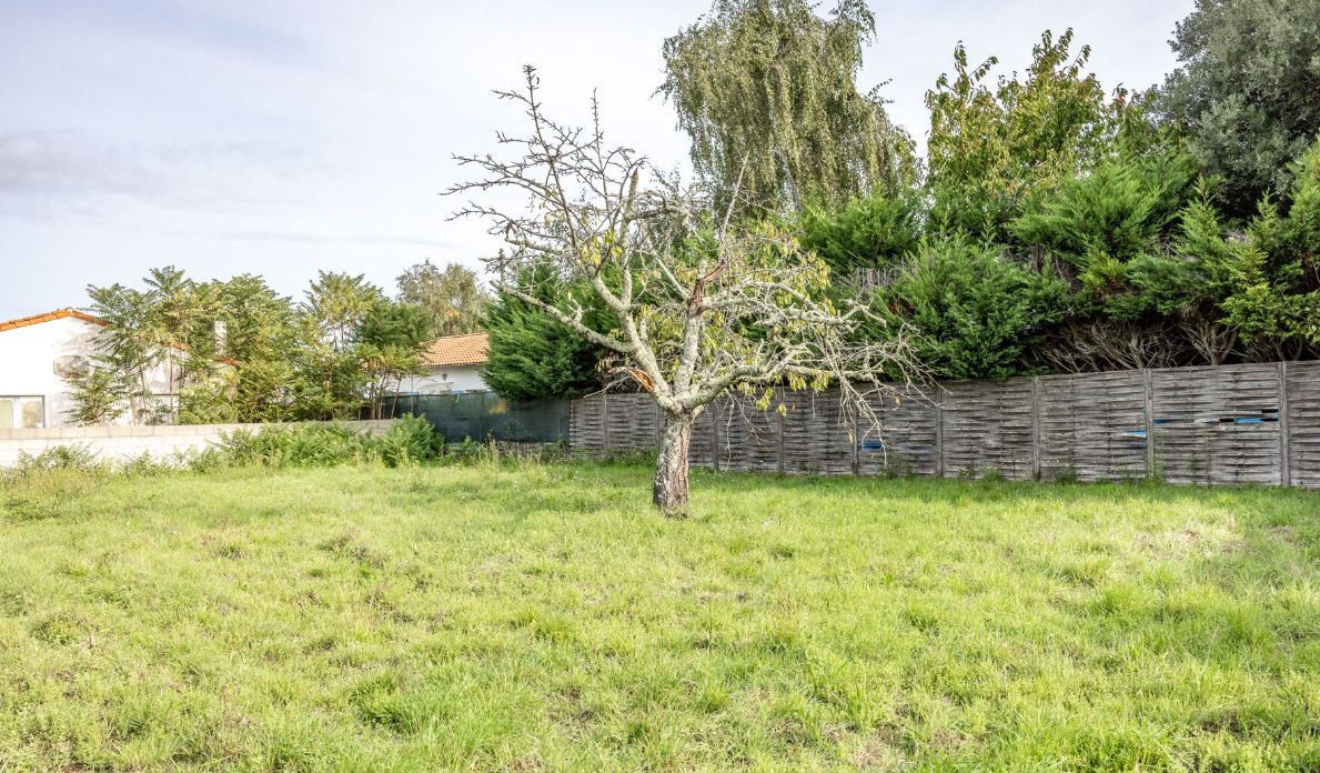 Magnifique terrain à vendre viabilisé de 446m2 en vente à SAINT-AUGUSTIN