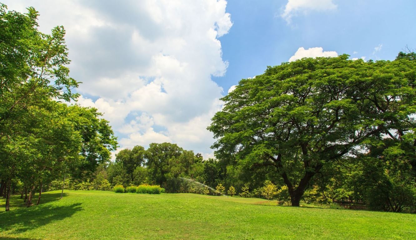 Photo maison Terrain à bâtir de 351 m2 au prix de 56640 euros à SURGERES.