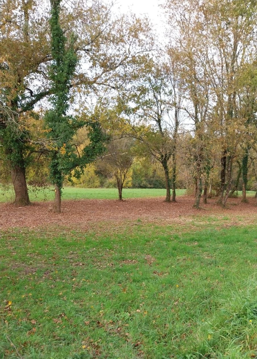 Photo maison Terrain à bâtir de 2400 m2 au prix de 54000 euros à LA CHAPELLE-DES-POTS.