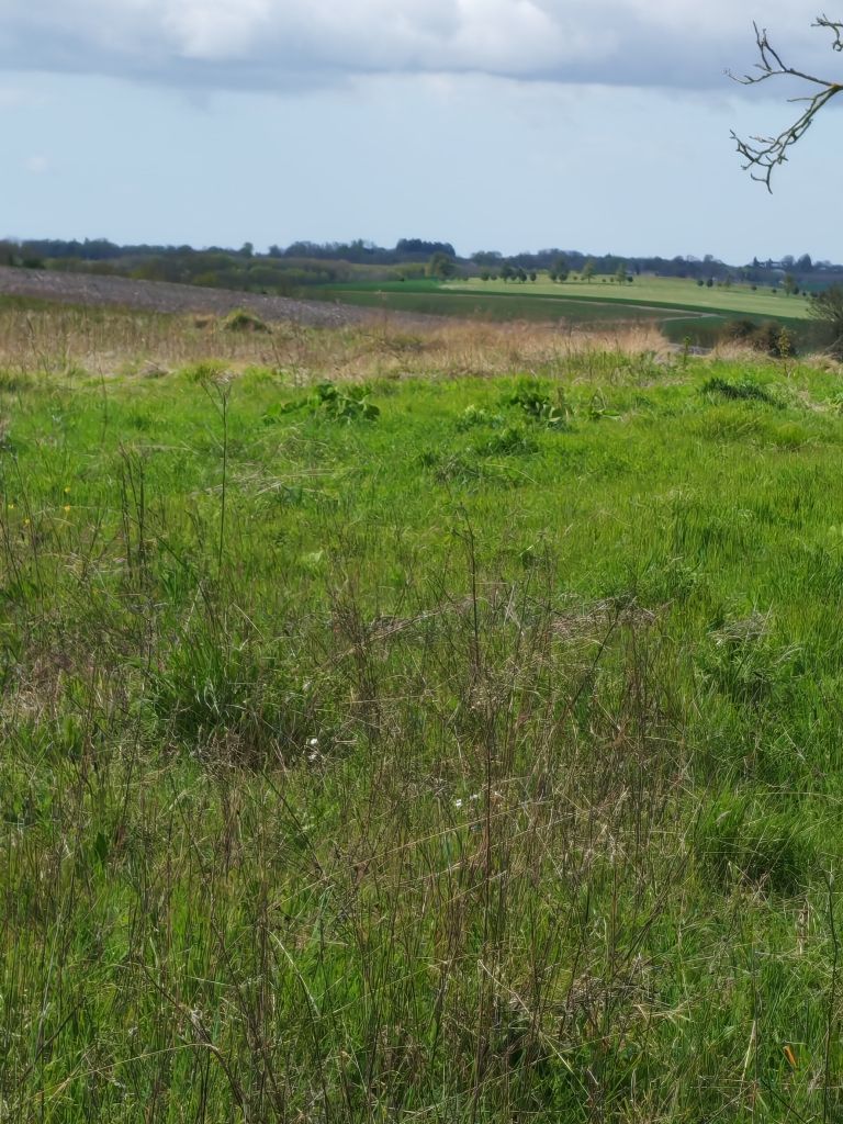 Photo maison Terrain à bâtir de 664 m2 au prix de 61440 euros à PREGUILLAC.