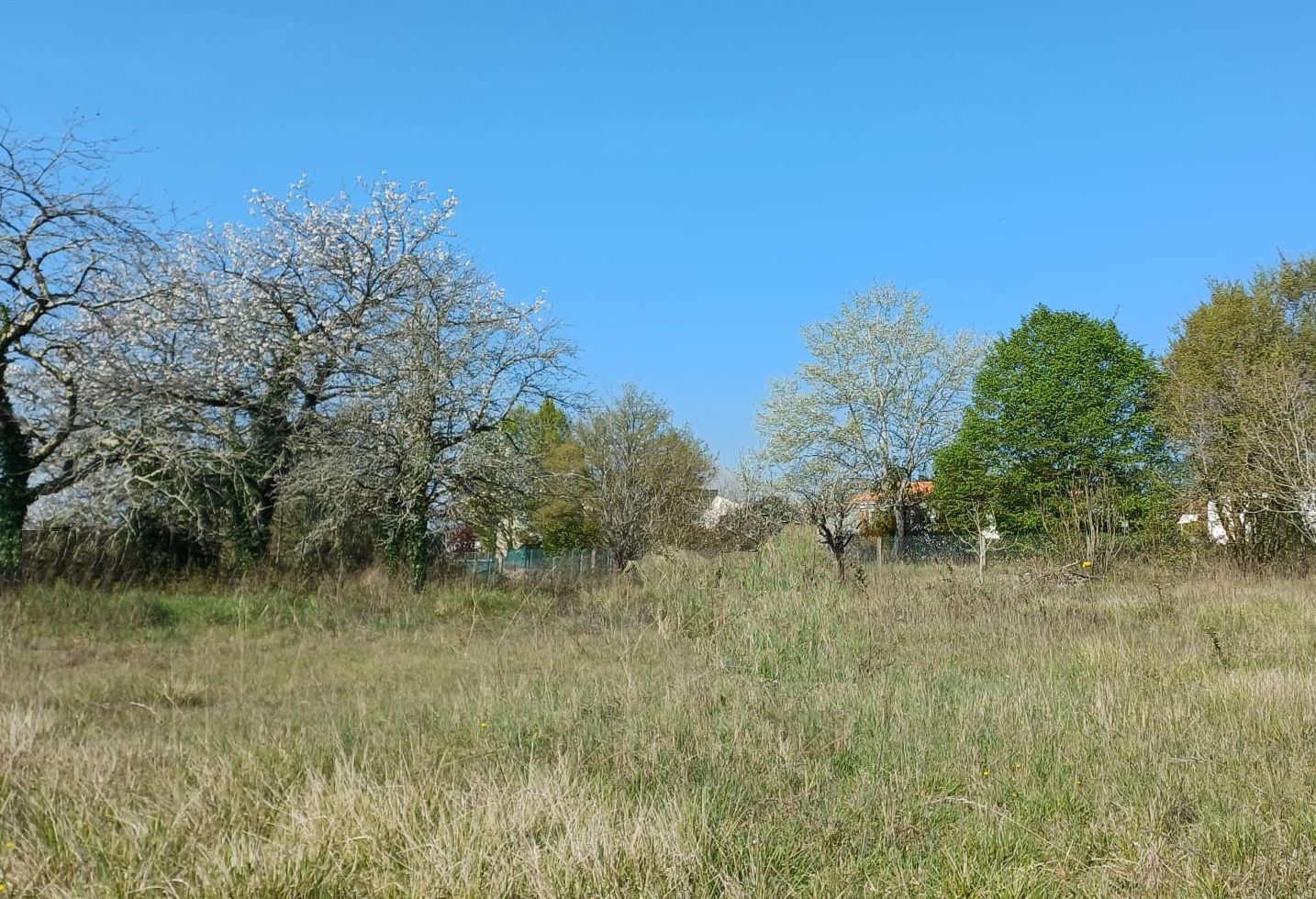 Photo maison Terrain à bâtir de 441 m2 au prix de 65900 euros à SAINTES.