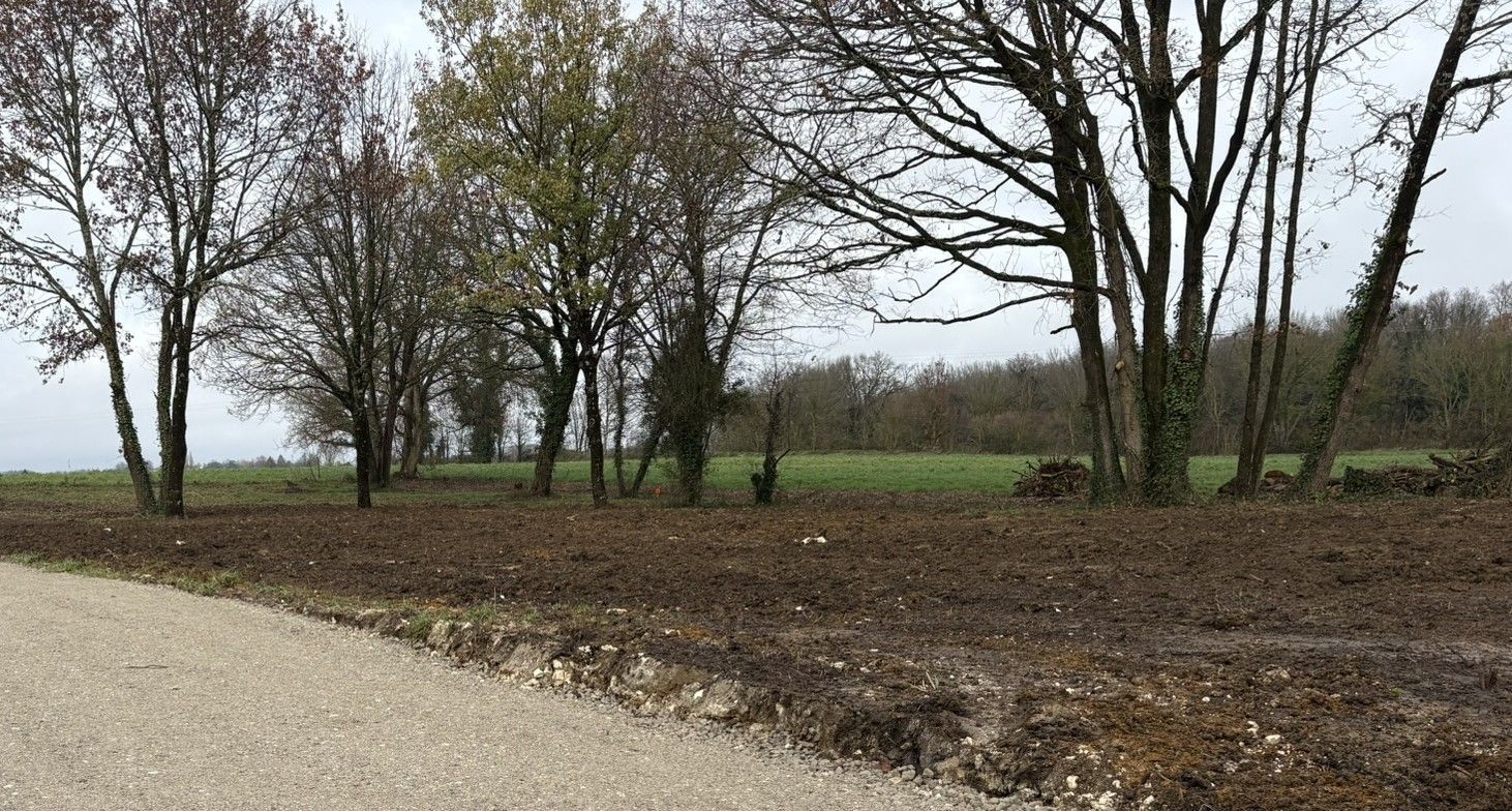 Photo maison Terrain à bâtir de 1123 m2 au prix de 38500 euros à TESSON.