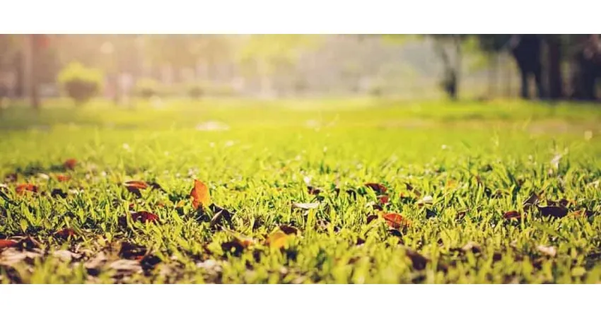 BIEN VENDRE SON TERRAIN EN 4 POINTS