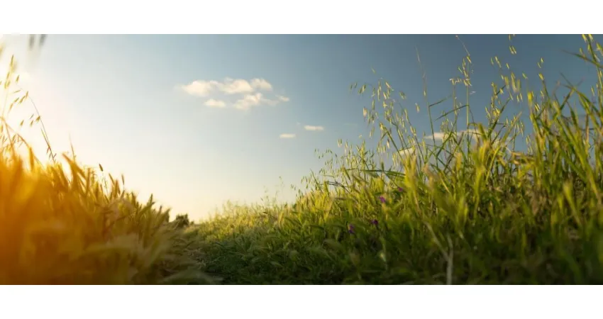 COMMENT TROUVER VOTRE TERRAIN À BÂTIR ?